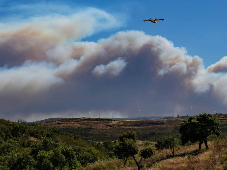 Feuer Waldbrände in Portugal 