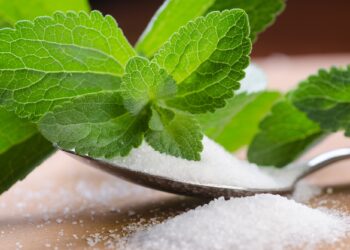 Gefährden Süßstoffe die Gesundheit der Nachkommen? – Heilpraxis