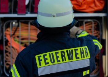 Mauern bei Freising: Pferd stürzt in Pool – Feuerwehr rettet Tier mit Kran