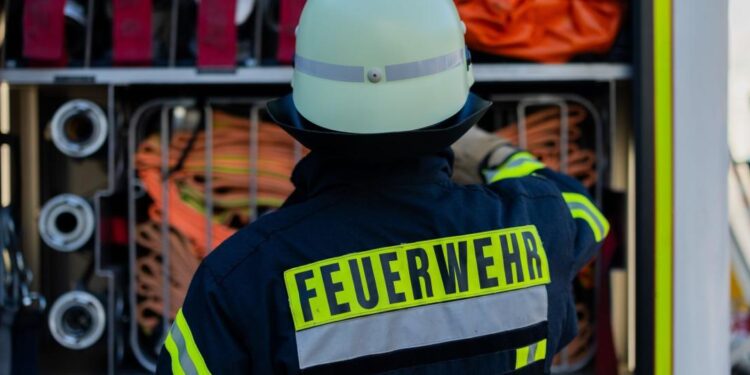 Mauern bei Freising: Pferd stürzt in Pool – Feuerwehr rettet Tier mit Kran