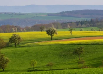 Hauk kritistiert EU-Wiederherstellungsverordnung: Baden-Württemberg.de