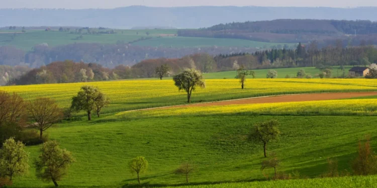 Hauk kritistiert EU-Wiederherstellungsverordnung: Baden-Württemberg.de