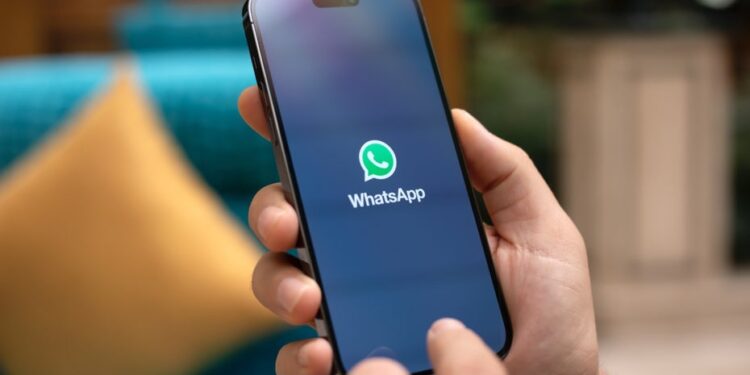 Whatsapp Plus: Diese Premium-Funktionen enthält das Abo