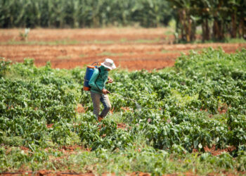 Greenpeace reacts as fertilizer firms report soaring profits from Iran war supply crisis
