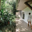 Iporanga House / Nati Minas & Studio - Interior Photography, Garden