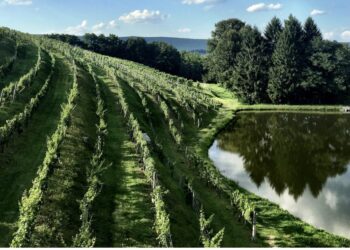 Berks County Wine Trail