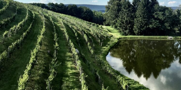 Berks County Wine Trail