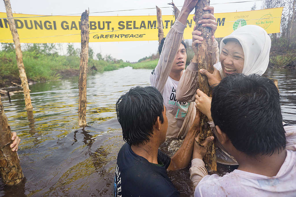 Damming Activity in Central Kalimantan © Ardiles Rante / Greenpeace Damming Activity in Central Kalimantan © Ardiles Rante / Greenpeace