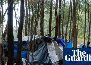 ‘A sobering indictment’: 14 homeless people die a year in public parks or countryside in Australia, analysis finds | Homelessness