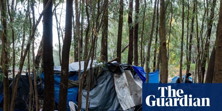 ‘A sobering indictment’: 14 homeless people die a year in public parks or countryside in Australia, analysis finds | Homelessness