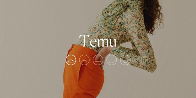 How Ethical Is Temu? Why ‘We Avoid’ It