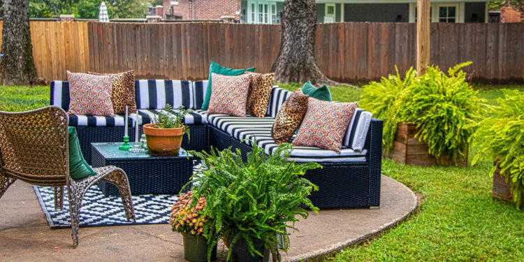 Master Gardeners Reveal 5 Plants Too Tricky for Beginners