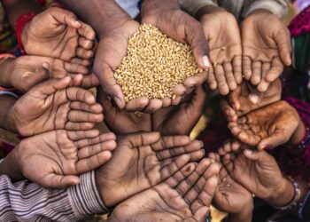 Global Hunger Fell Overall in 2024, but Rose in Africa and Western Asia as Climate and Conflict Threaten Progress: UN Report
