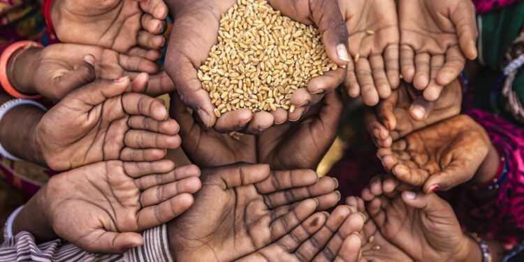 Global Hunger Fell Overall in 2024, but Rose in Africa and Western Asia as Climate and Conflict Threaten Progress: UN Report