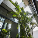 Heat as a Design Partner: Trees, Soil, and Wind Corridors as Cooling Infrastructure - Image 2 of 23