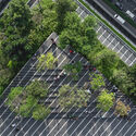 Heat as a Design Partner: Trees, Soil, and Wind Corridors as Cooling Infrastructure - Image 3 of 23