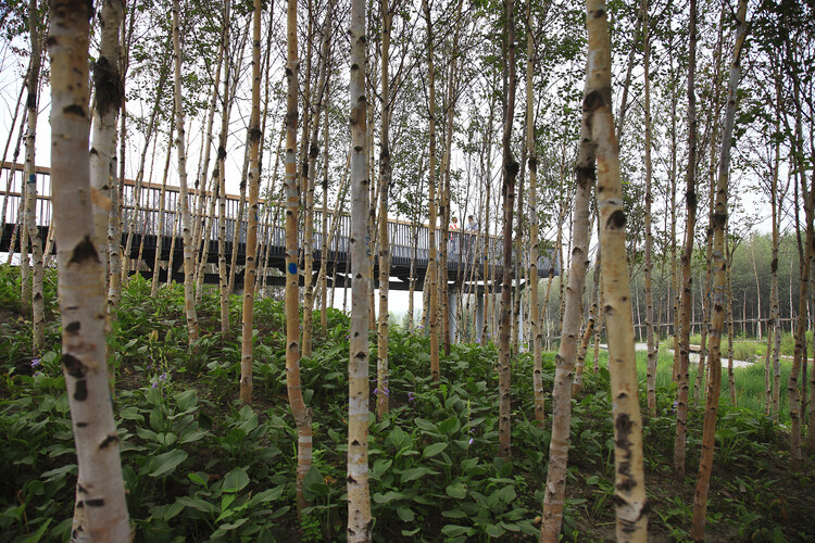 Heat as a Design Partner: Trees, Soil, and Wind Corridors as Cooling Infrastructure - Image 7 of 23