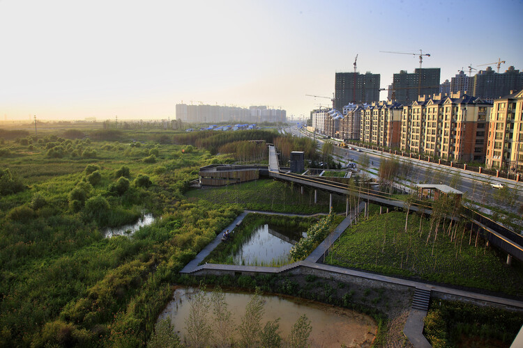 Heat as a Design Partner: Trees, Soil, and Wind Corridors as Cooling Infrastructure - Image 10 of 23