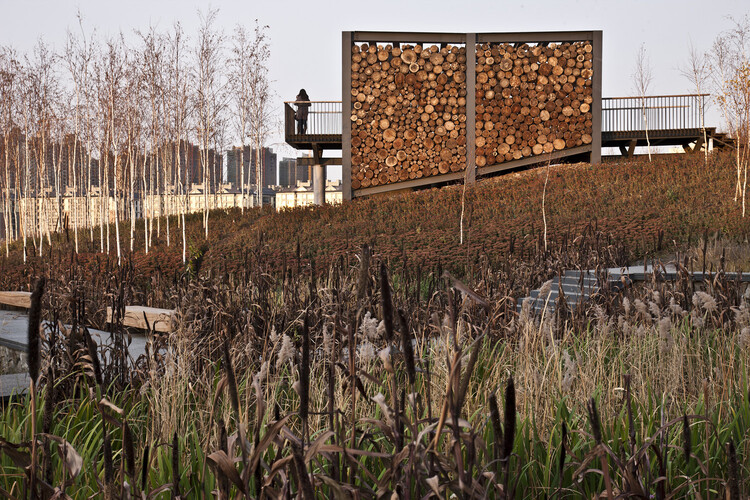 Heat as a Design Partner: Trees, Soil, and Wind Corridors as Cooling Infrastructure - Image 6 of 23