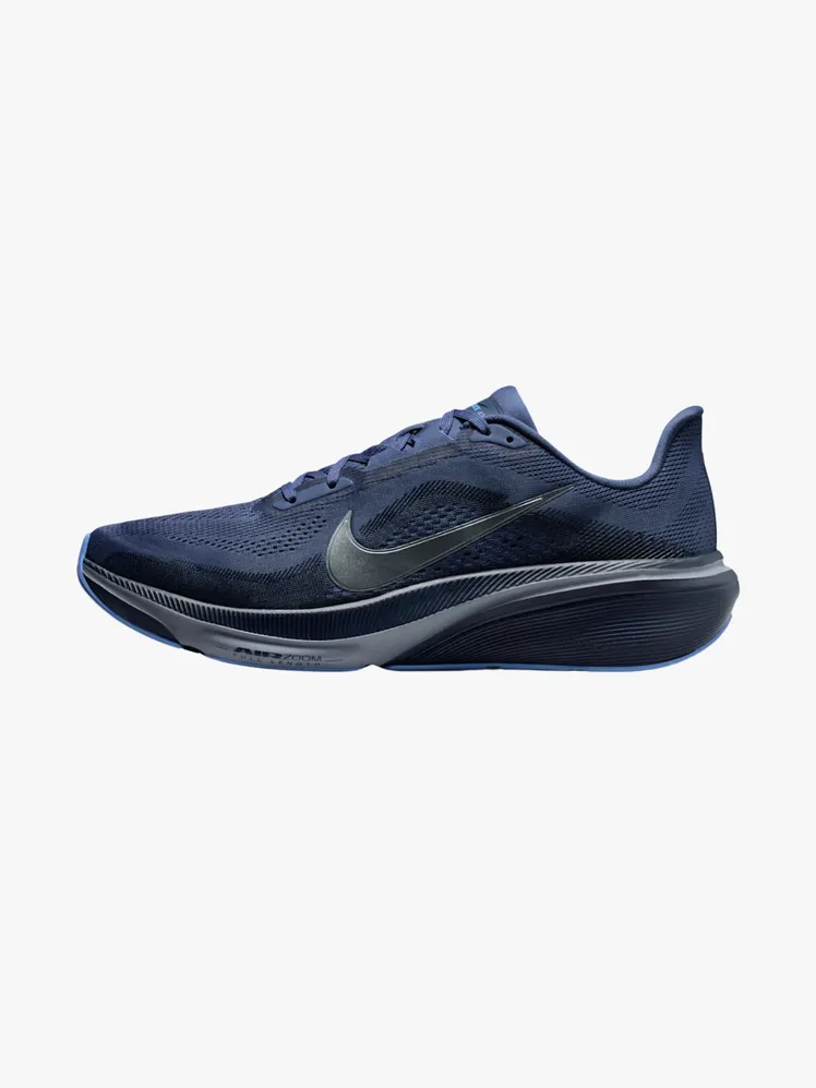 Beste Nike Laufschuhe Test Nike Pegasus 42, kaufen