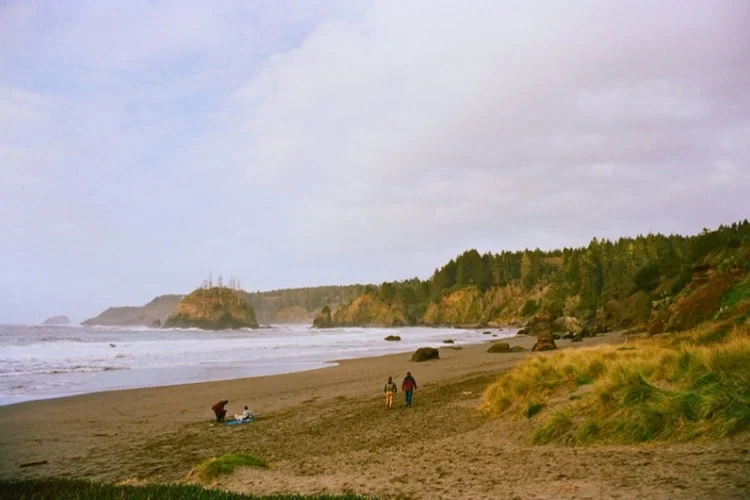 Group of people on a sandy beach in Trinidad, CA, USA. Photo by Mitchell Valine, Unsplash
