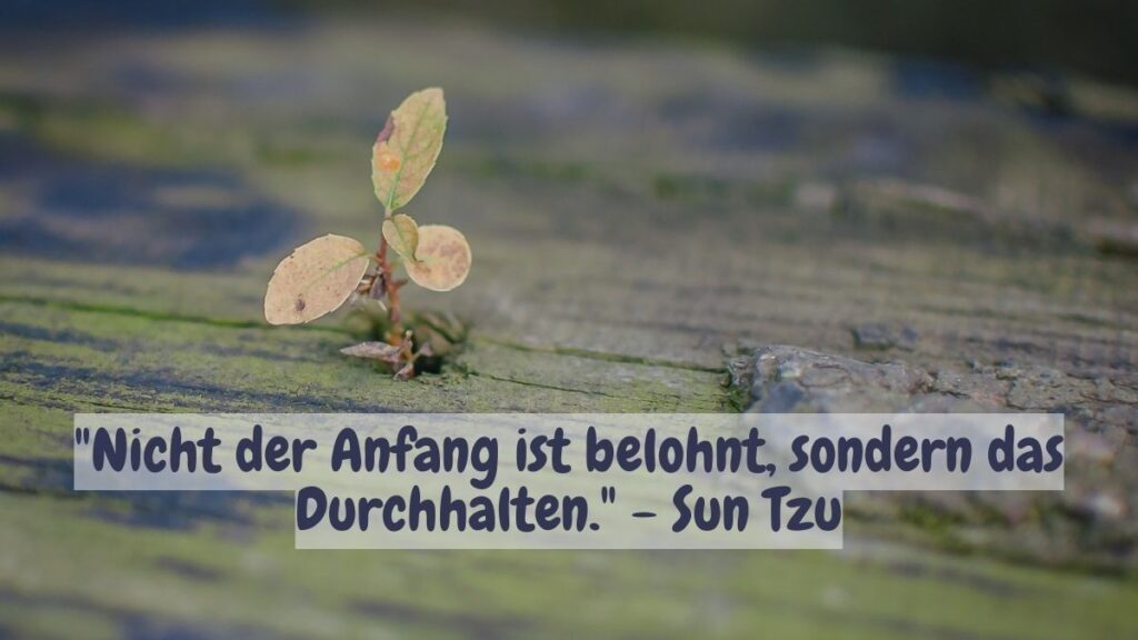 Staude wächst aus Holzbrett. Zitat: "Nicht der Anfang ist belohnt, sondern das Durchhalten." - Sun Tzu