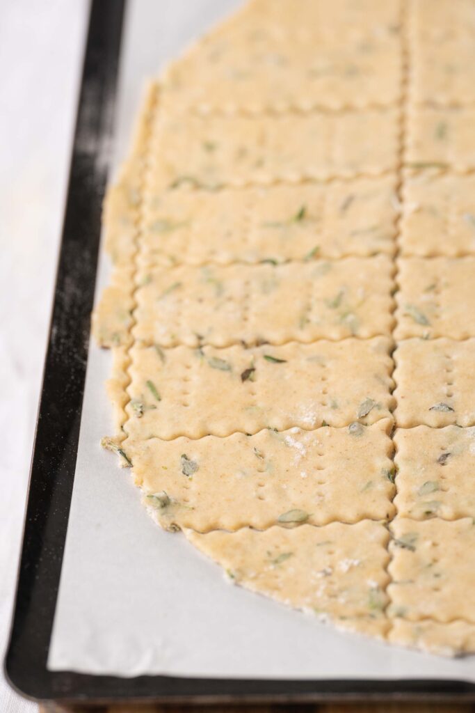 Rolled-out herb dough, cut into squares with zigzag edges, arranged on a baking sheet lined with parchment paper.