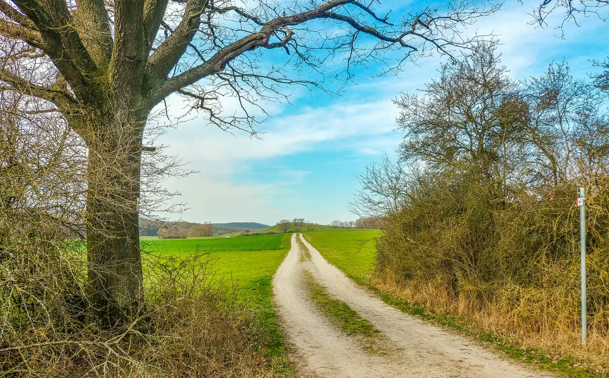 Wanderweg auf der Traumrunde Dornheim