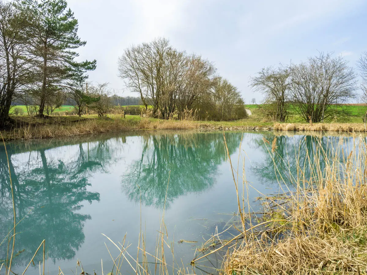 Fischteich am Gießgraben