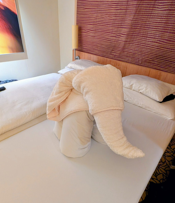 AIDAmar Kabine Elefant