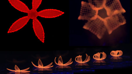 Feature Friday No. 18  – 4D printing