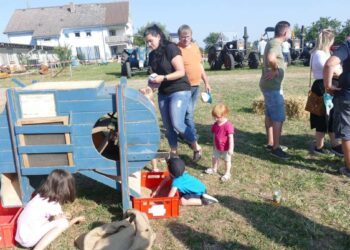 Landwirtschaft wie früher: Nostalgie pur – das Drescherfest lädt zum dritten Mal auf den Randen ein – Blumberg