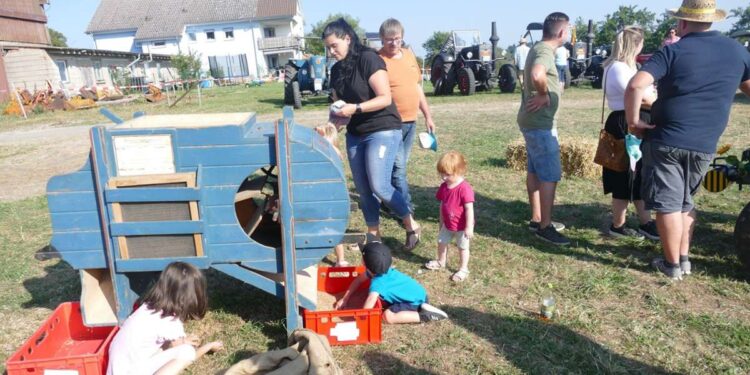 Landwirtschaft wie früher: Nostalgie pur – das Drescherfest lädt zum dritten Mal auf den Randen ein – Blumberg
