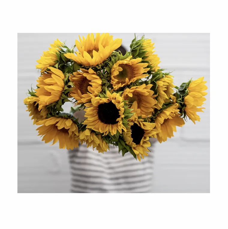 Farmgirl Flowers No Matter Watt Bouquet of Sunflowers