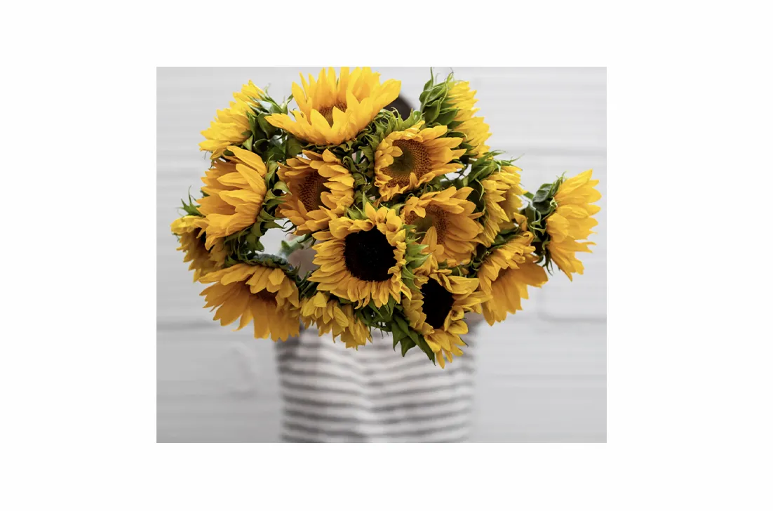 Farmgirl Flowers No Matter Watt Bouquet of Sunflowers