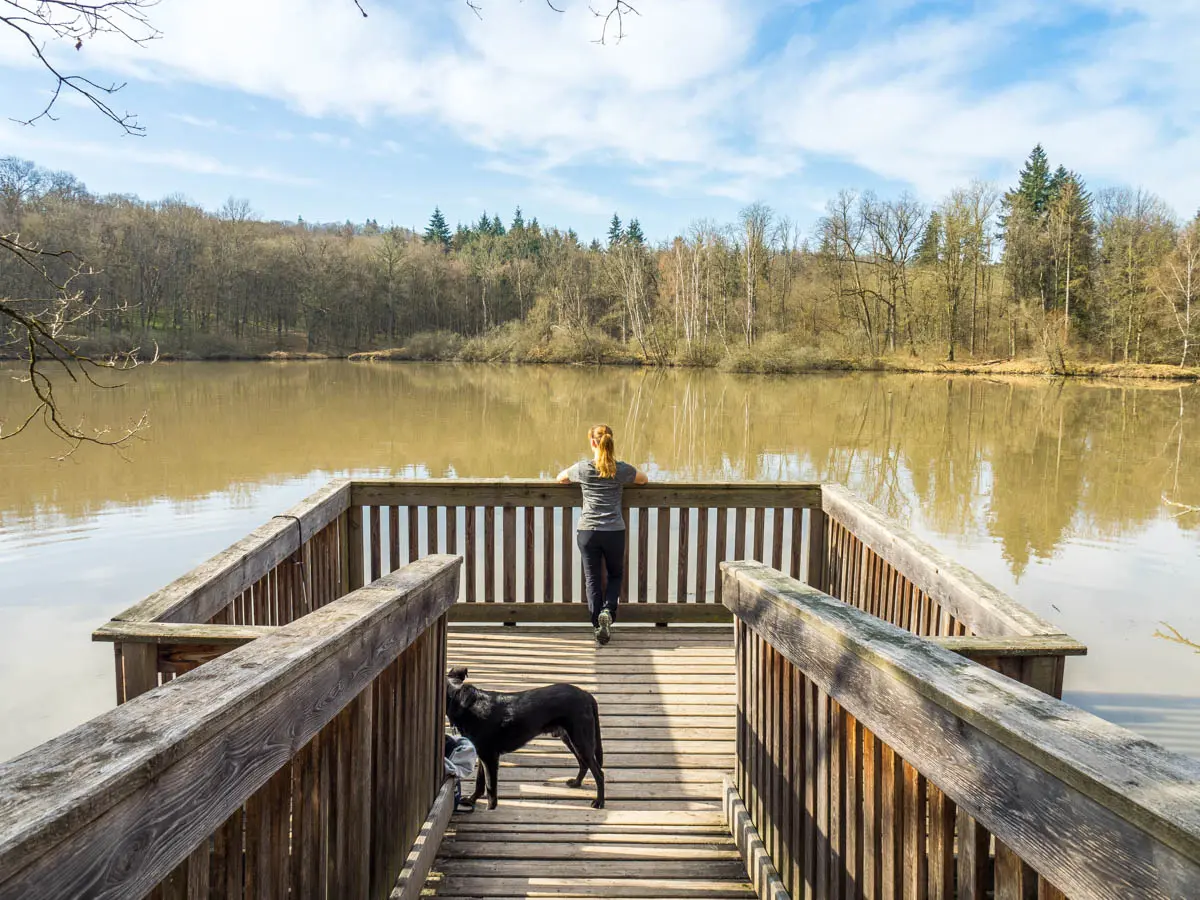 Plattform Großer Wolfsee auf der Traumrunde Dornheim