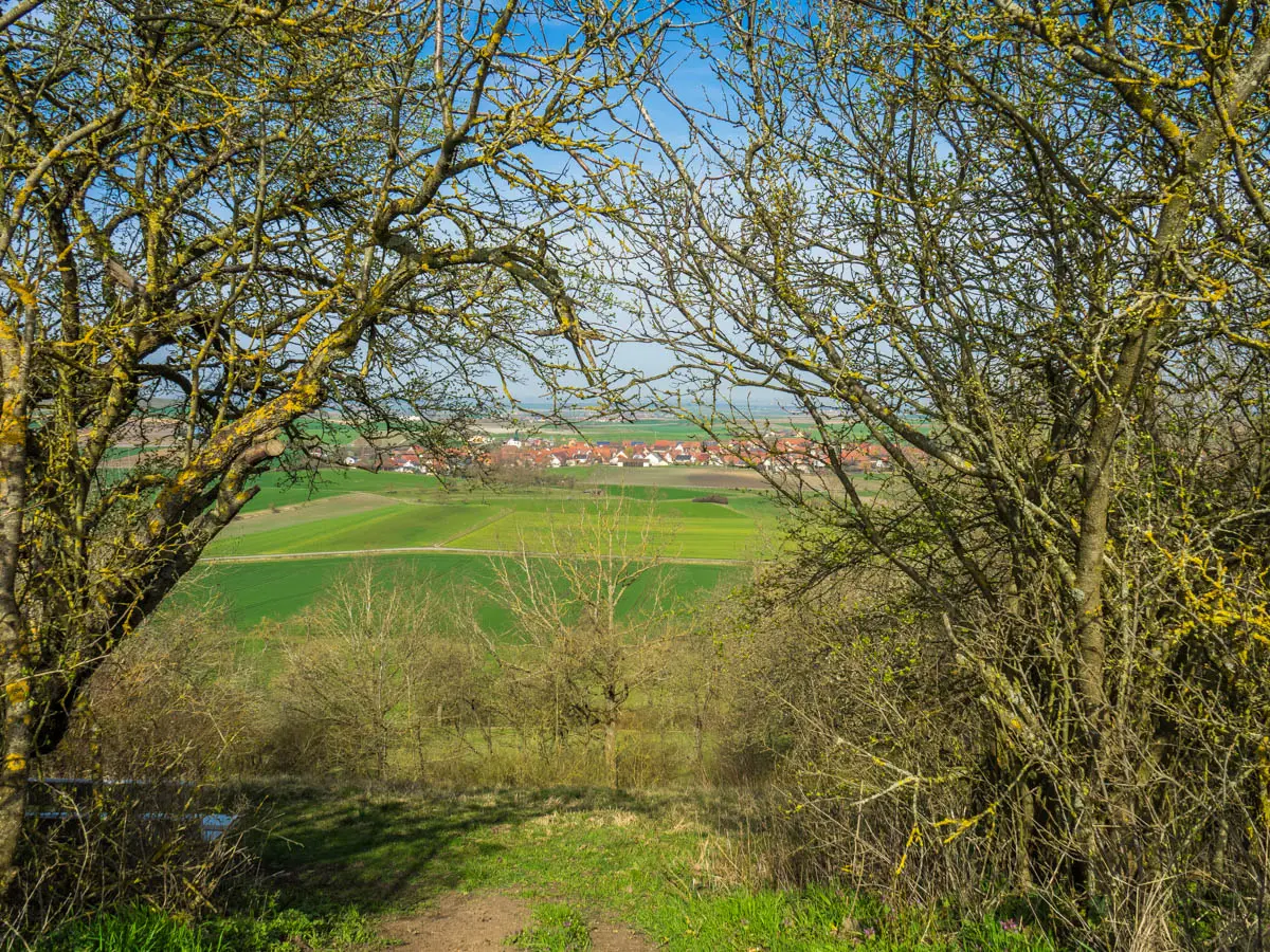 Blick auf Nenzenheim