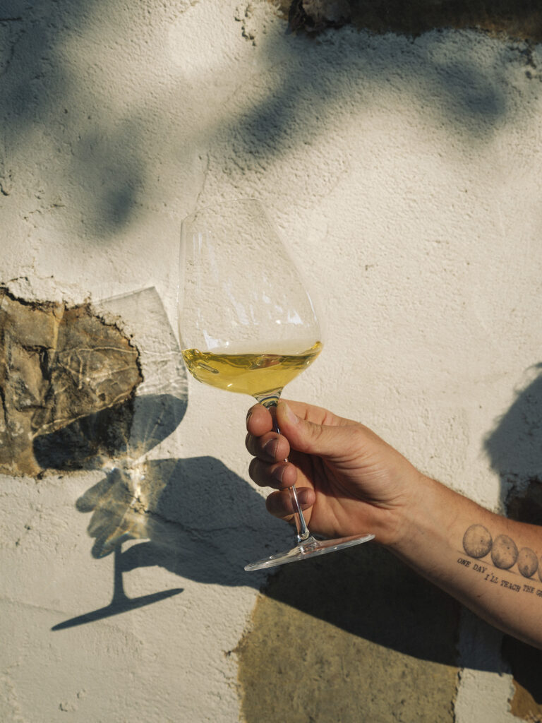 Mitja Sirk Bianco is a blend of Friulano, Malvasia, and other native white grapes.