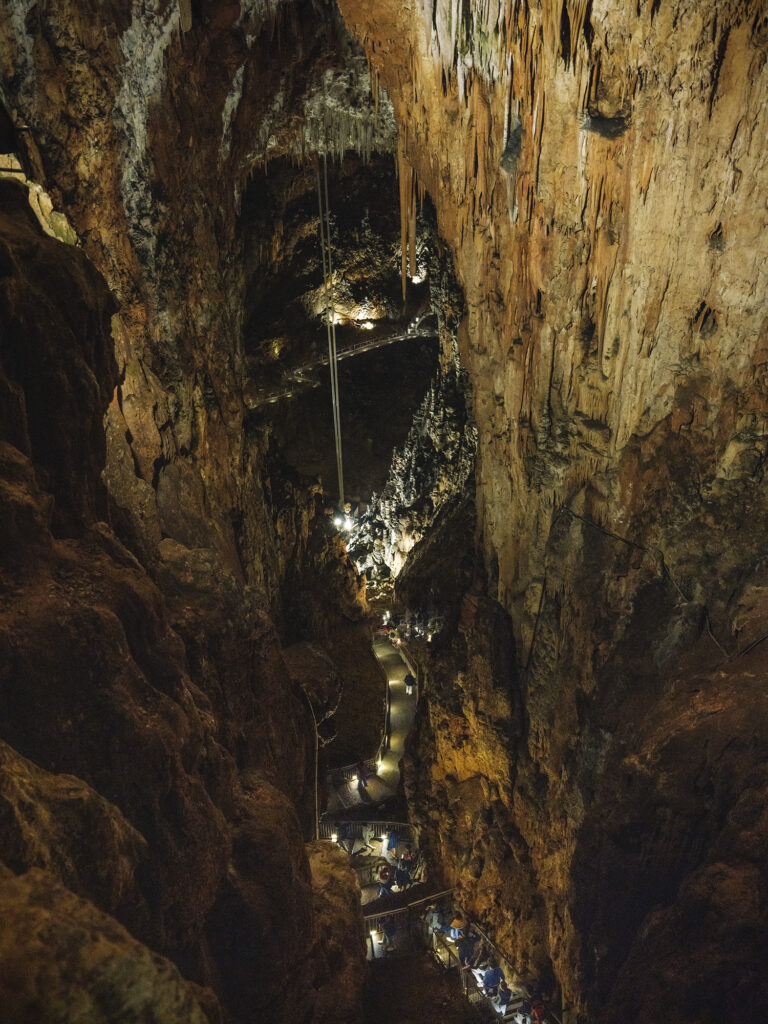 The Grotta Gigante on the Karst Plateau is one of the largest touristaccessible caves in the world