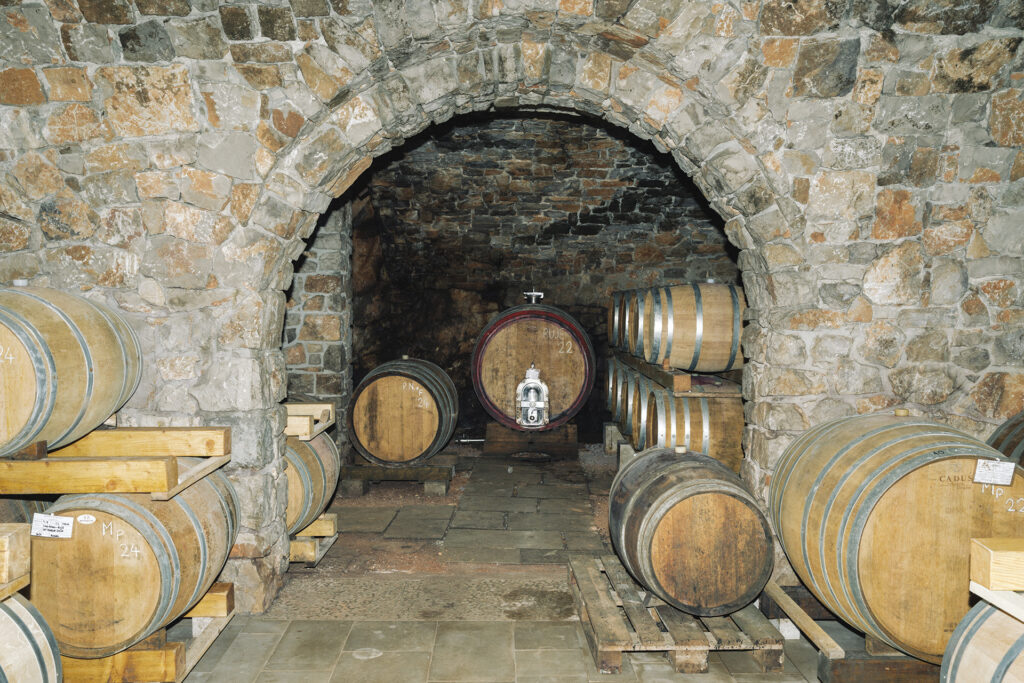 The cellar at Zidarich winery in the Carso.