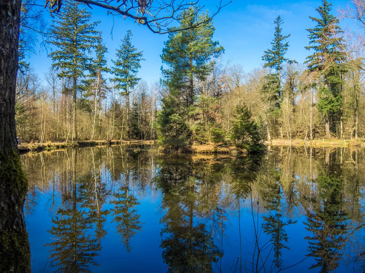 Traumrunde Schwanberg - Birkensee