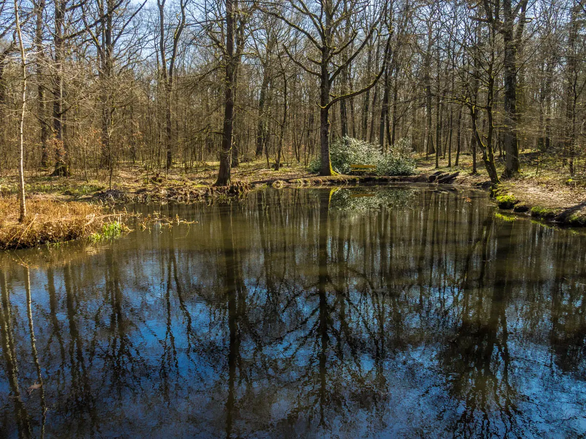 Zypressensee auf dem Schwanberg