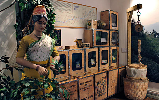 Ostfriesland - Leer - Bünting Teemuseum - der größte Anteil des Echten Ostfriesentees stammt aus Assam in Indien