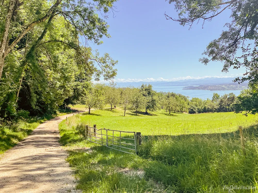 schöne Wanderroute Sipplingen nach Überlingen über Haldenhof