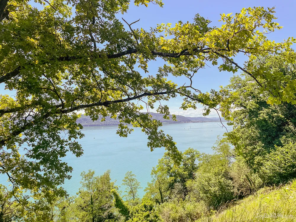 Bodensee Natur