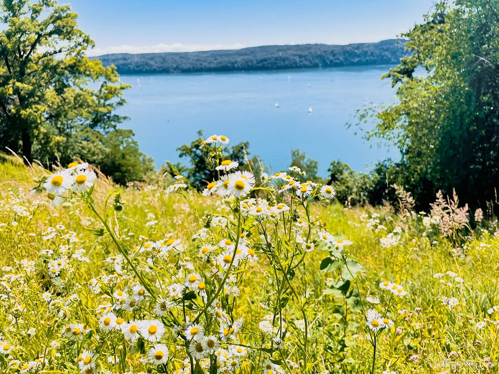 atemberaubende Natur entlang dieser Wanderung von Sipplingen nach Überlingen via Haldenhof