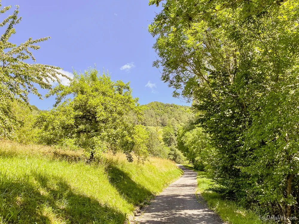 Wanderung von Sipplingen nach Überlingen über Haldenhof 2