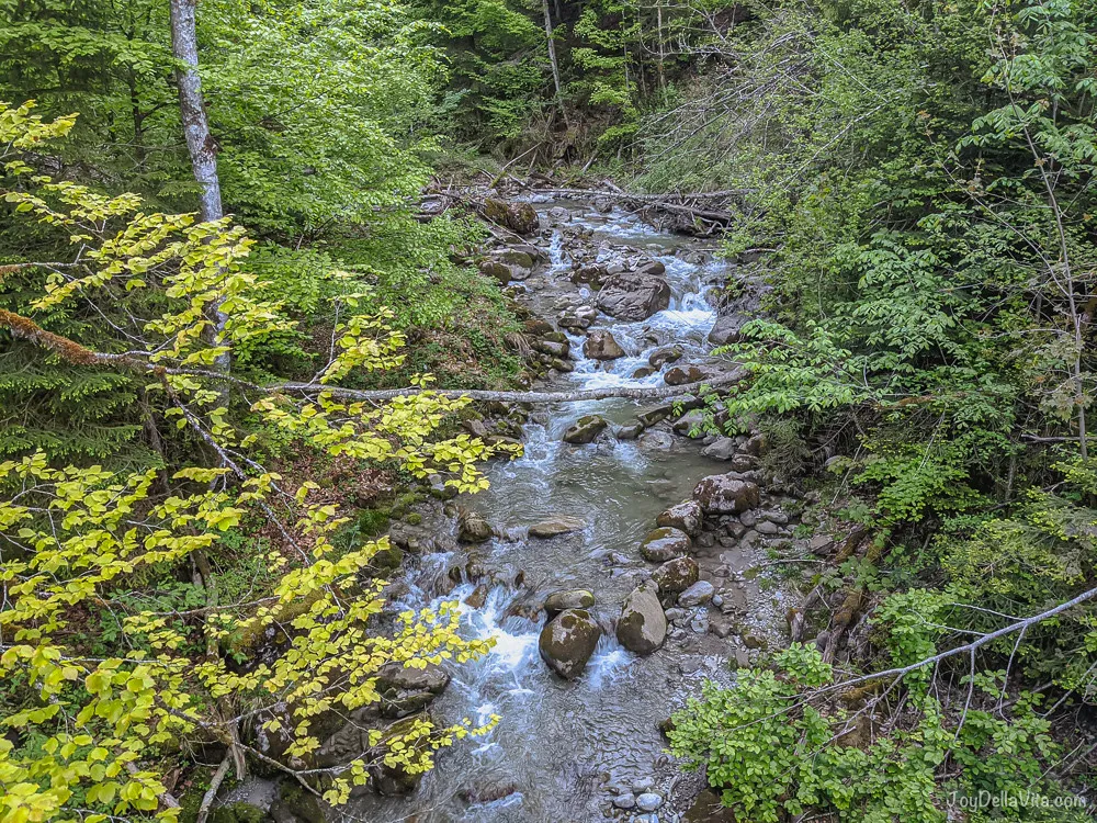 4.5 km evening hike to Theresienkapelle in Ratzen from Schwarzenberg 9 tiny river schwarzenberg vorarlberg