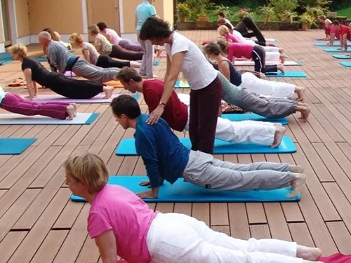 BenefitYoga®-Lehrausbildung: ganzheitlich, fundiert, persönlich – FindeDeinYoga.org Blog