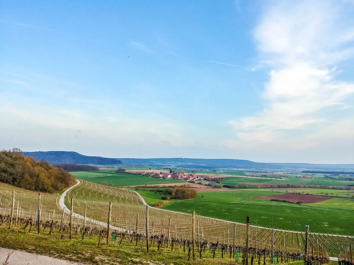 Blick über die Wiebelsberger Weinberge in den Steigerwald